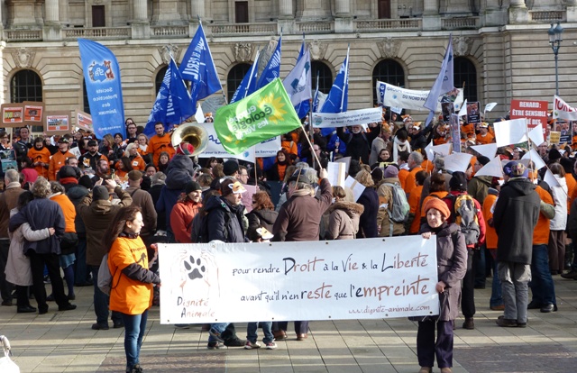 Manif contre les Cht'is fox days à Lille le 15/02/2014